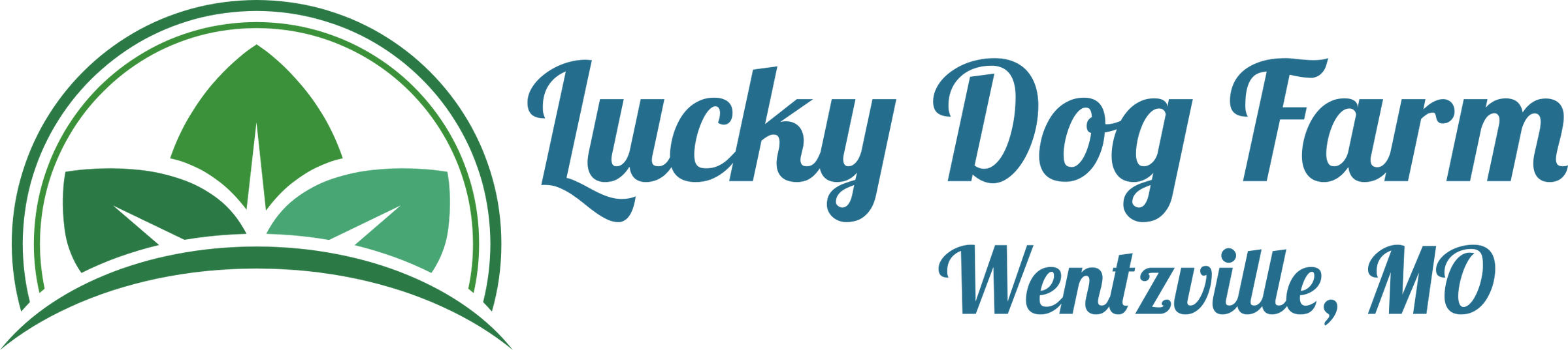 Lucky Puppy Gift Card